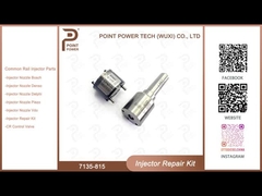 7135-815 델피 주사기 수리 키트 노즐 밸브 키트