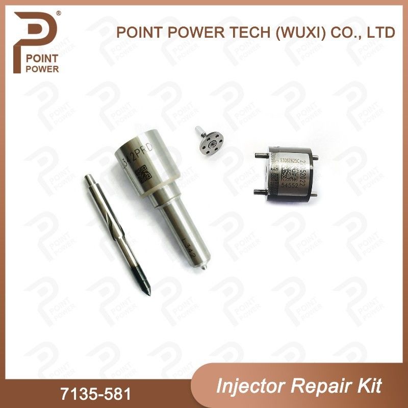 노즐-CVA 키트 7135-581 R00101D PSA / FORD DW10C 노즐 밸브 키트용 델피 주입기 수리 키트