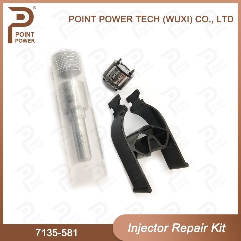 노즐-CVA 키트 7135-581 R00101D PSA / FORD DW10C 노즐 밸브 키트용 델피 주입기 수리 키트