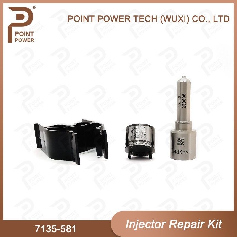 노즐-CVA 키트 7135-581 R00101D PSA / FORD DW10C 노즐 밸브 키트용 델피 주입기 수리 키트