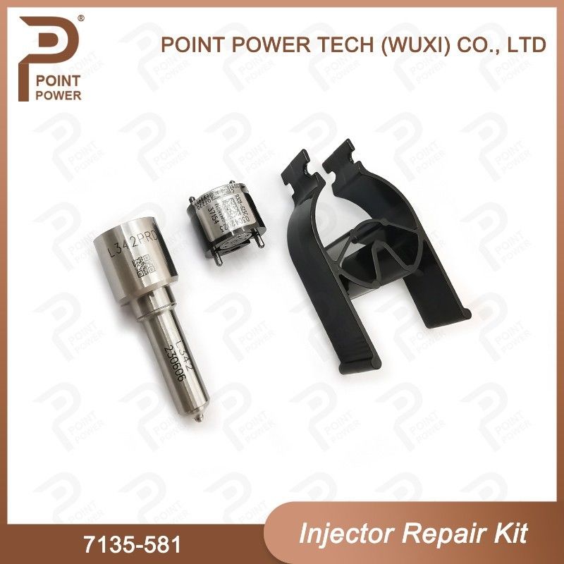 노즐-CVA 키트 7135-581 R00101D PSA / FORD DW10C 노즐 밸브 키트용 델피 주입기 수리 키트