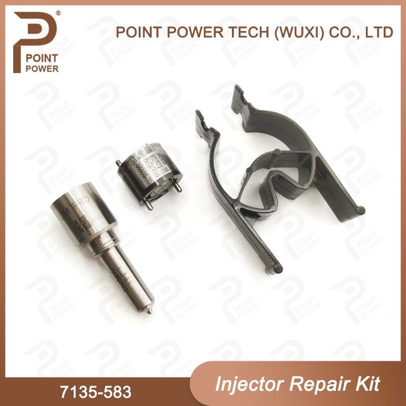 7135-583 델피 주사기 수리 키트 주사기 R00301D SSANGYONG D20DTF 노즐 밸브 키트