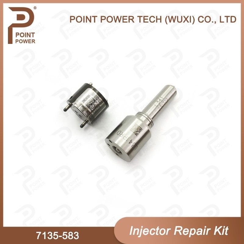 7135-583 델피 주사기 수리 키트 주사기 R00301D SSANGYONG D20DTF 노즐 밸브 키트
