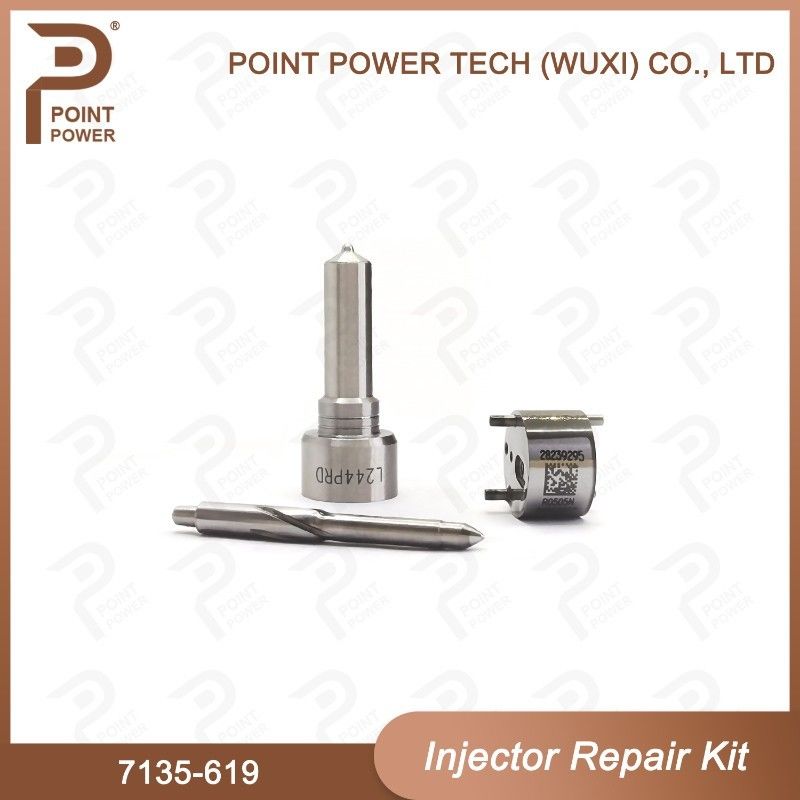 7135-619 델피 주사기 수리 키트 델피 주사기 Sangyong R04501d 노즐 밸브 키트