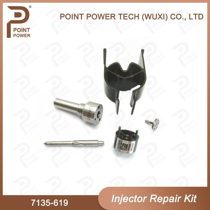 7135-619 델피 주사기 수리 키트 델피 주사기 Sangyong R04501d 노즐 밸브 키트