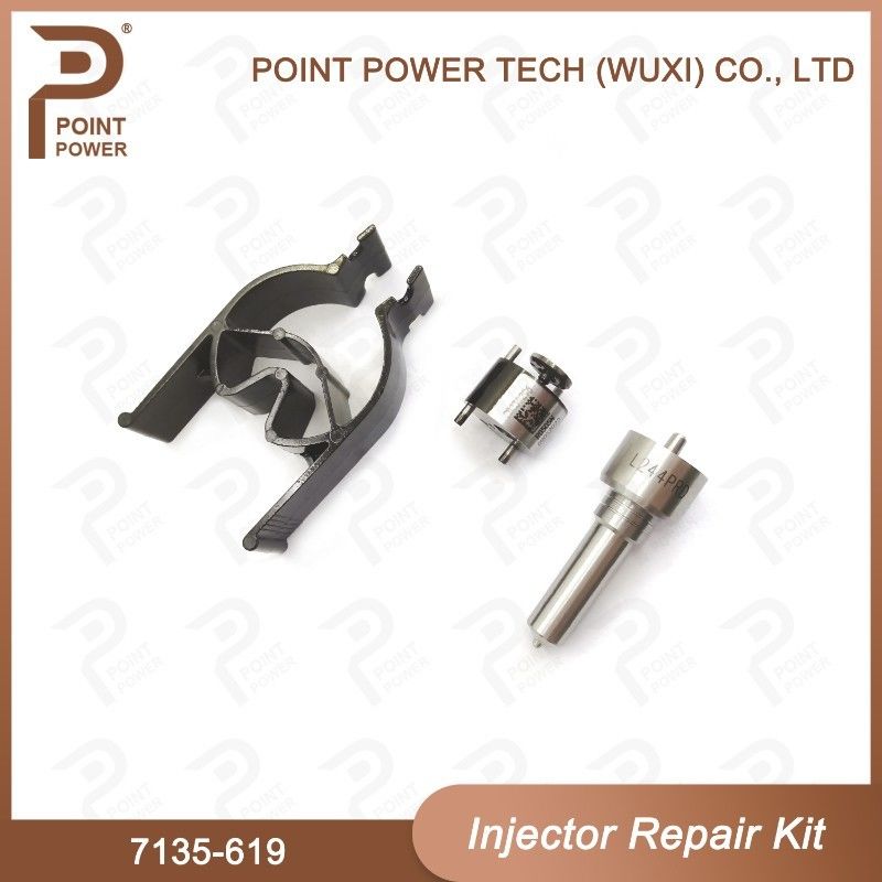 7135-619 델피 주사기 수리 키트 델피 주사기 Sangyong R04501d 노즐 밸브 키트