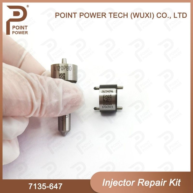 7135-647 델피 주사기 수리 키트 주사기 28232248 L120PBD 주사기와 노즐 밸브 키트