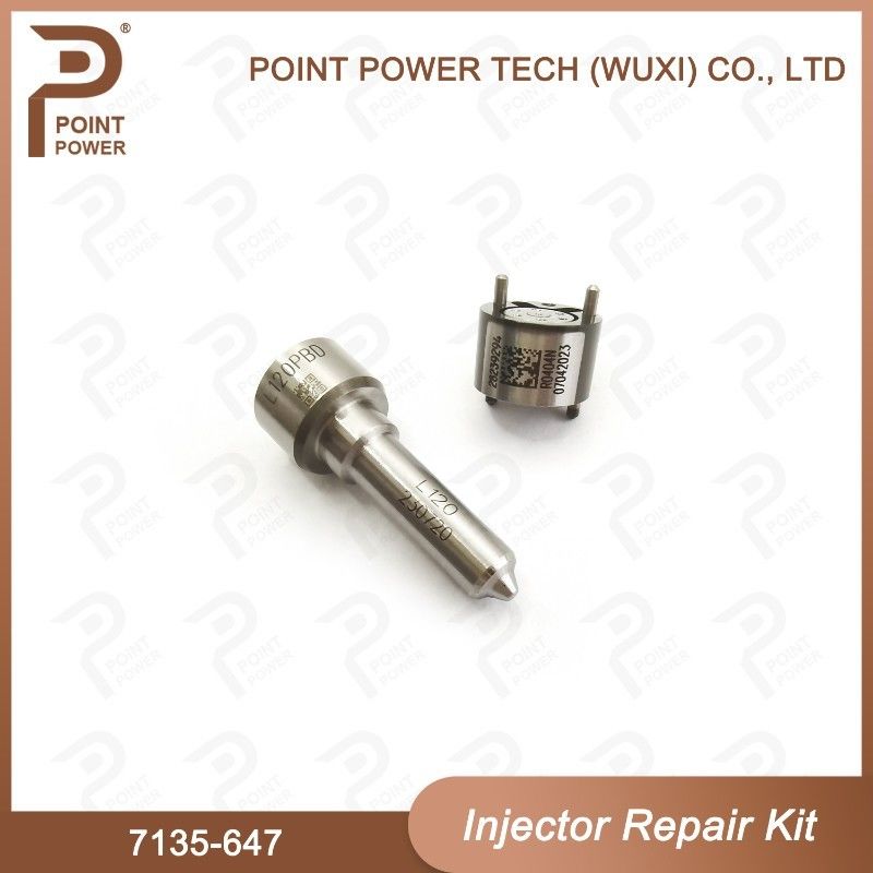 7135-647 델피 주사기 수리 키트 주사기 28232248 L120PBD 주사기와 노즐 밸브 키트