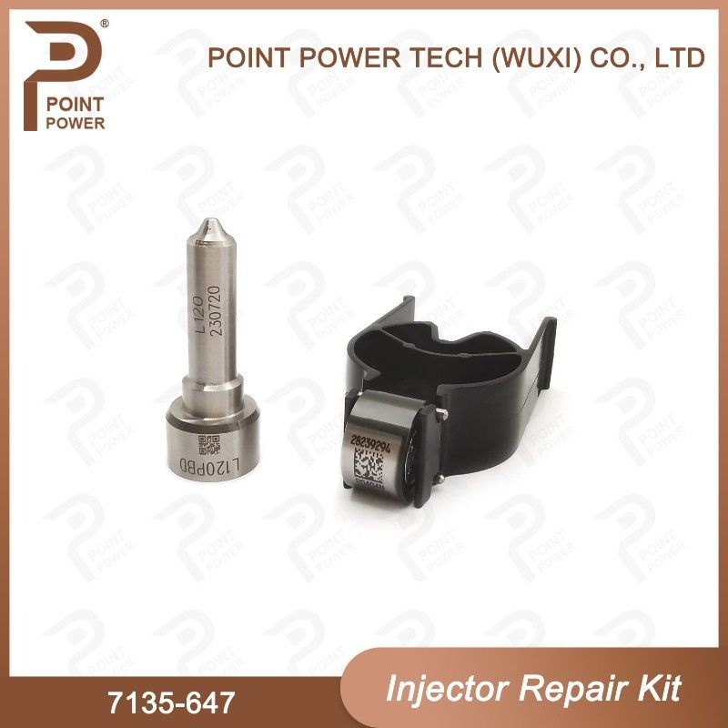 7135-647 델피 주사기 수리 키트 주사기 28232248 L120PBD 주사기와 노즐 밸브 키트