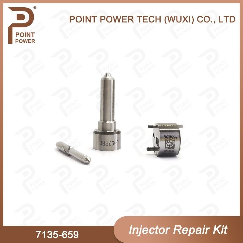 주사기용 노즐-CVA 키트 ISO 7135-659 델피 주사기 수리 키트 R02801D 노즐 밸브 키트