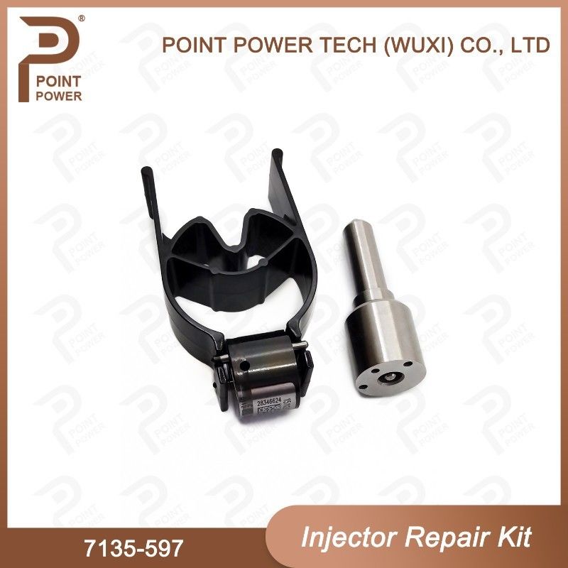 7135-597 델피 주사기 수리 키트 일반 철도 디젤 주사기 부품 노즐 밸브 키트