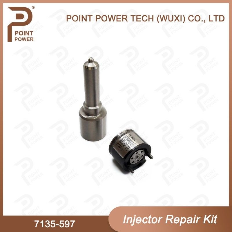 7135-597 델피 주사기 수리 키트 일반 철도 디젤 주사기 부품 노즐 밸브 키트