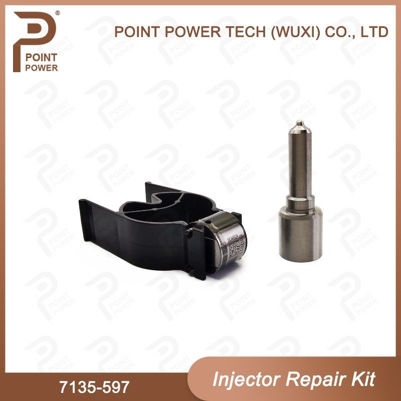 7135-597 델피 주사기 수리 키트 일반 철도 디젤 주사기 부품 노즐 밸브 키트