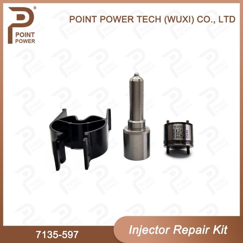 7135-597 델피 주사기 수리 키트 일반 철도 디젤 주사기 부품 노즐 밸브 키트