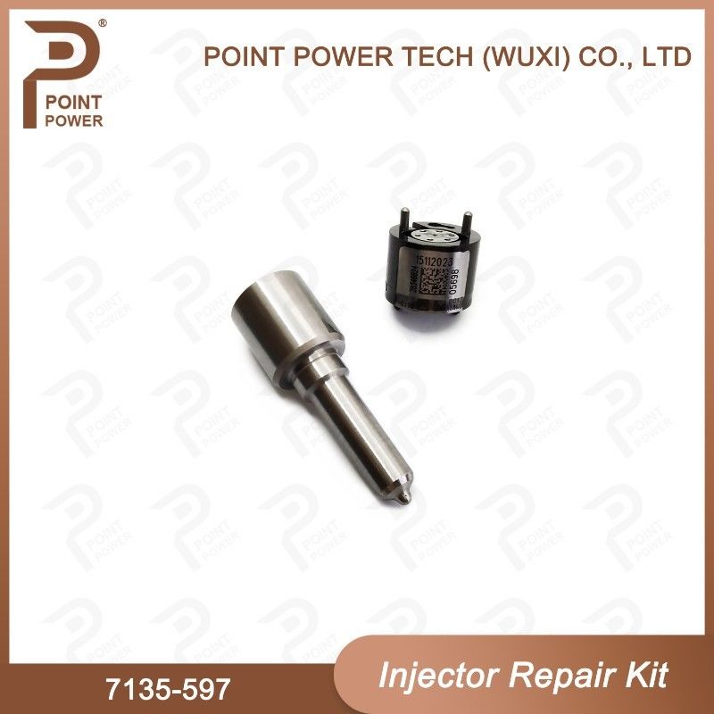 7135-597 델피 주사기 수리 키트 일반 철도 디젤 주사기 부품 노즐 밸브 키트